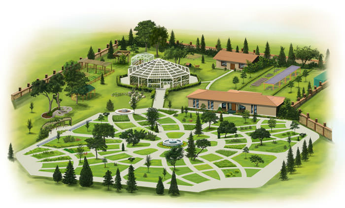 Zeytinburnu Tıbbi Aromatik