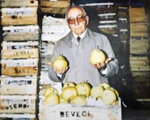 Lütfi Deveci